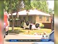 News video: Muere en fatal accidente